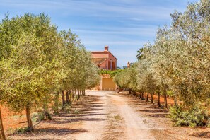 Exterior - Fantastic Country House with Pool, Terraces, Garden, Air Conditioning & Wi-Fi (campos)