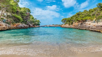 Accommodatie ligt op het strand