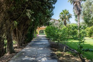 Un chemin menant à un bâtiment doté d’une porte verte, entouré d’arbres et de verdure.