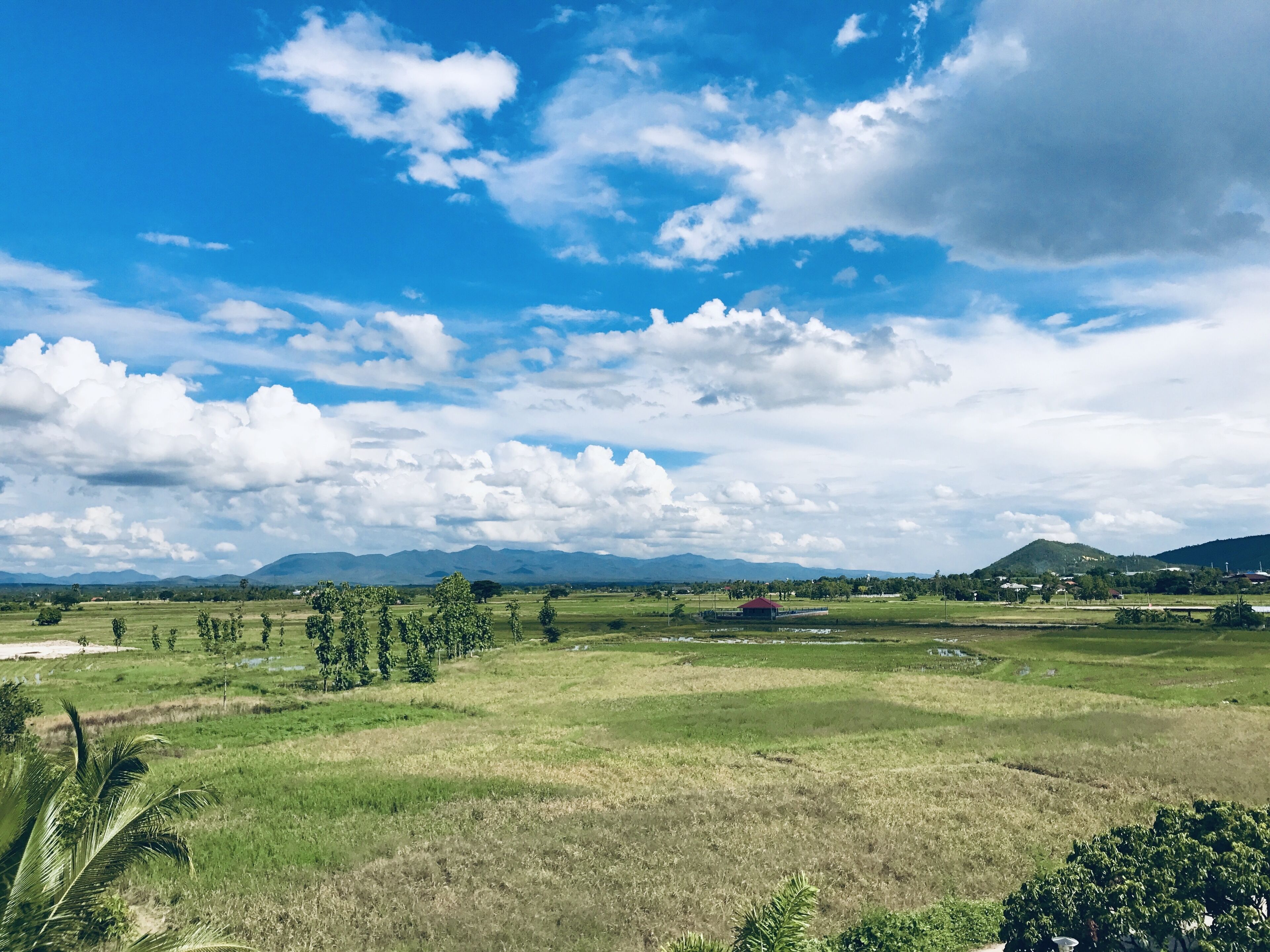 วิวภาคพื้นจากที่พัก