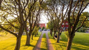 A pathway flanked by trees leading to a red building. - Halmstad Gårdshotell (Halmstad)