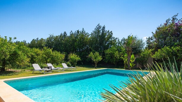 Una piscina rettangolare con acqua cristallina, circondata da un'area verde alberata e cespugliata.