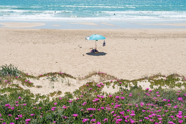 Une plage avec un parasol bleu, des dunes de sable et des fleurs roses.
