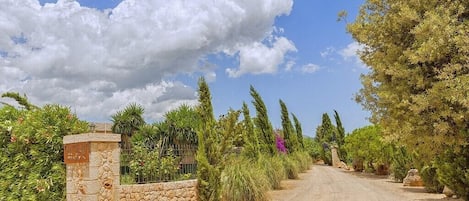 المنطقة المحيطة بالمنشأة