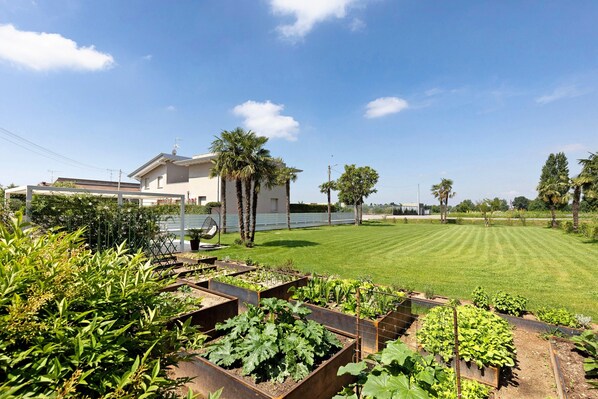 Un jardín residencial con jardineras elevadas, césped y una casa al fondo.