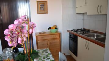 Fridge, oven, stovetop, coffee/tea maker