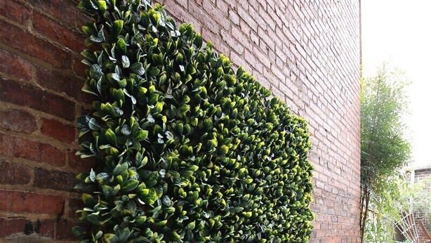 Un muro de ladrillo con un seto verde y dos sillas de metal.