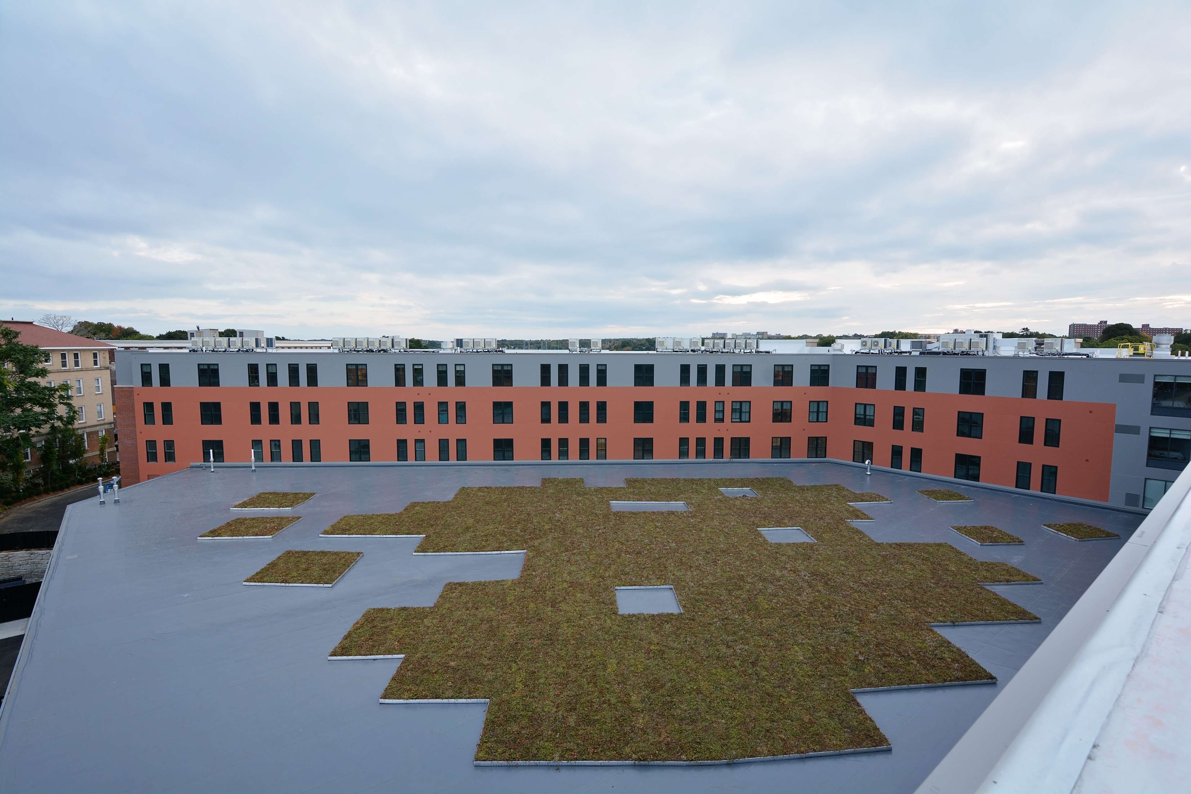 A rooftop with a green roof garden, surrounded by buildings with a mix of red and grey facades.