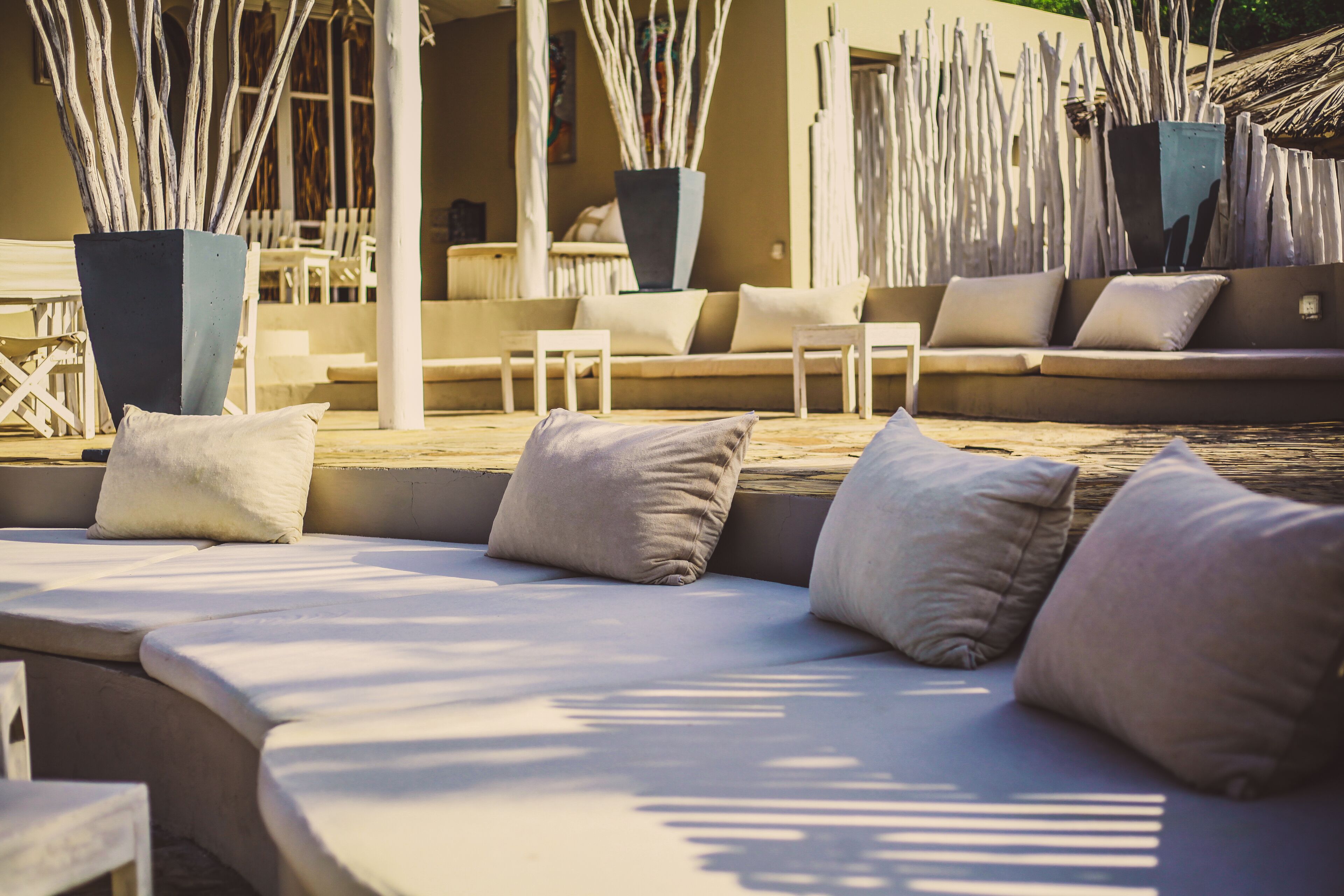 A sunlit outdoor seating area with cushioned benches and pillows, surrounded by tall decorative plants and a modern architectural backdrop.