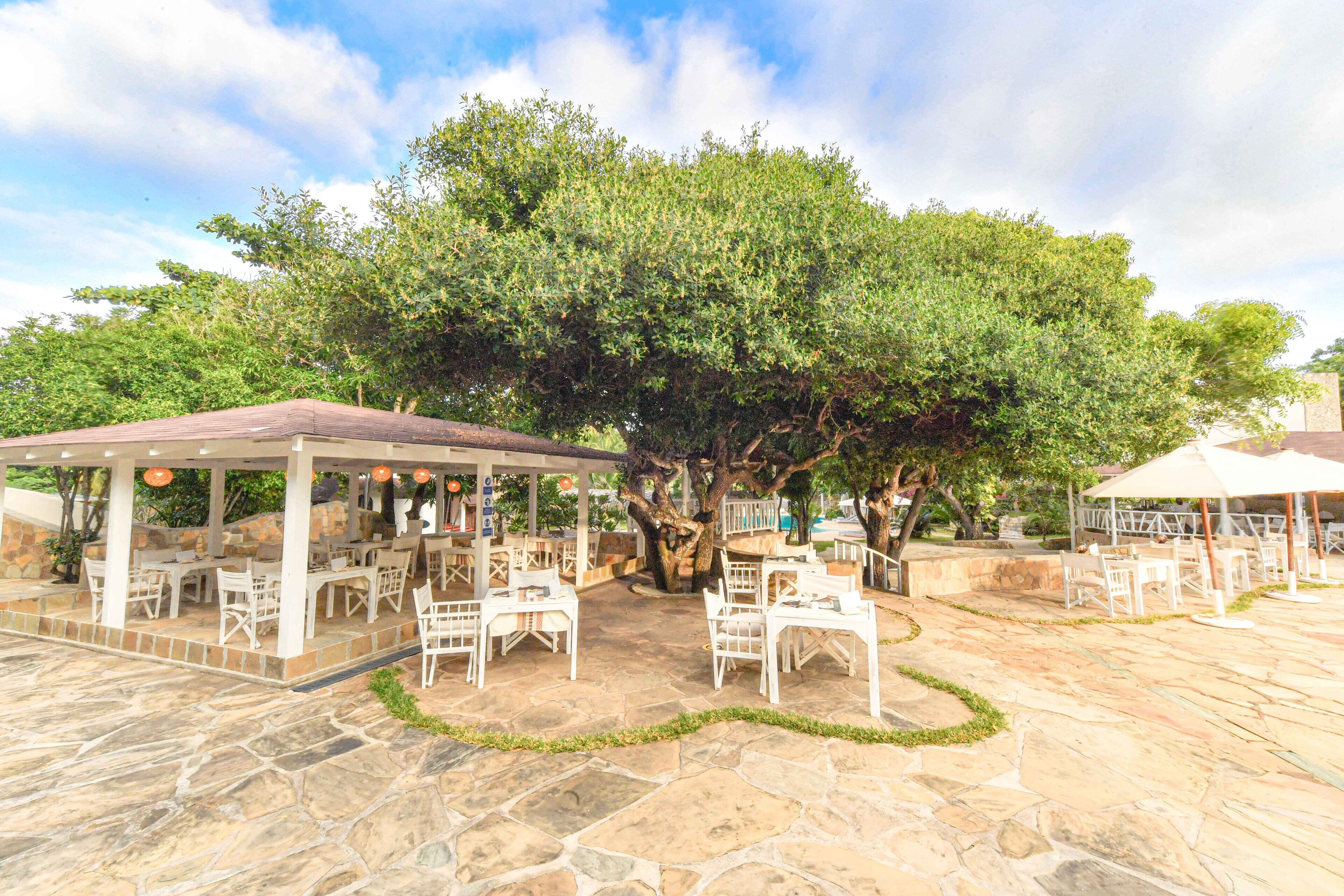 Patio esterno con pavimento in pietra, arredi bianchi e un grande albero che offre ombra.