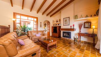 TV, fireplace, ping pong