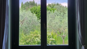 Una puerta con vista a un paisaje verde y frondoso a través de una ventana.