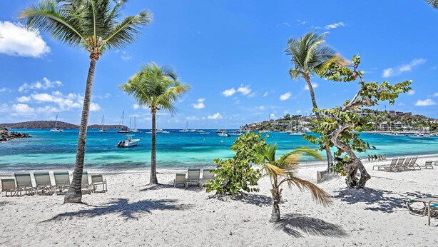 Une plage bordée de palmiers, avec une eau d’un bleu limpide et des bateaux visibles au loin.