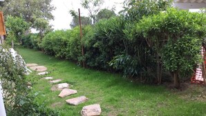 Un sendero de jardín con losas que serpentea por una zona cubierta de césped, rodeado de follaje denso.