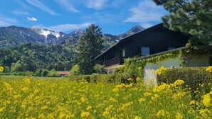 Un paisaje rural con un campo de flores amarillas, una cordillera y una construcción de madera tradicional.