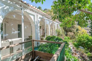 Property grounds - Stunning Rural Home “Finca Colica” with Sea View, Mountain View (Cómpeta)