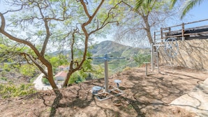 A view of a mountainous landscape with a tree and exercise equipment.