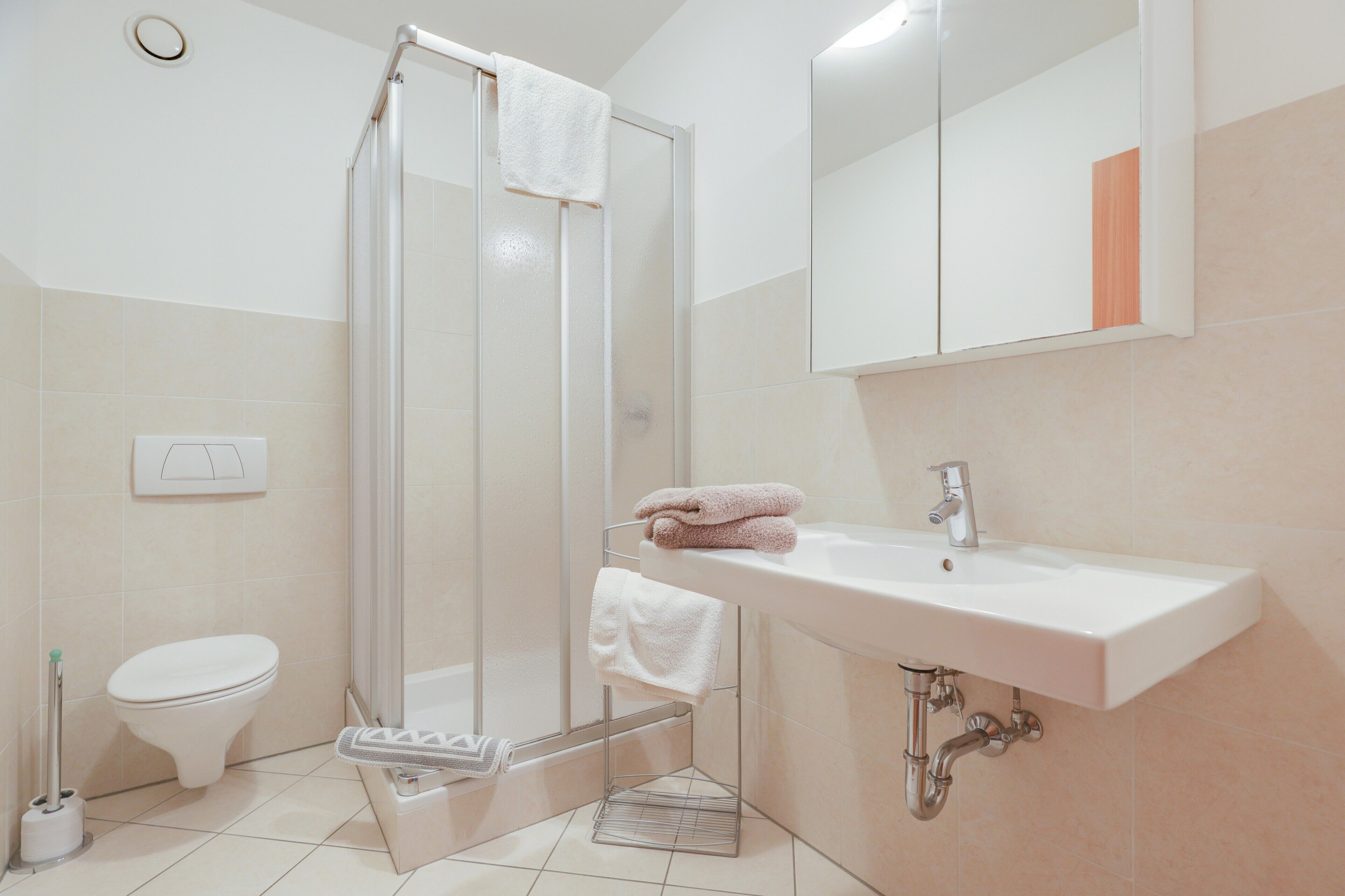 Chuveiro, secador de cabelo, toalhas de banho 