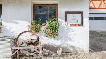 Áreas de la propiedad