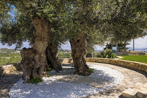 Un chemin de pierres mène à un espace aménagé avec des sièges, situé sous de grands arbres, et d’où l’on peut admirer un paysage lointain.