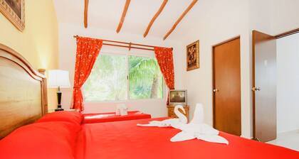 Room-executive Budget Room With Swimming