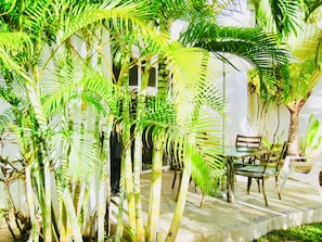 Room, 1 Bedroom, Patio | Exterior
