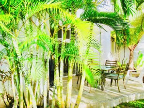 A patio area with a table and chairs, surrounded by tall palm trees and a white wall.
