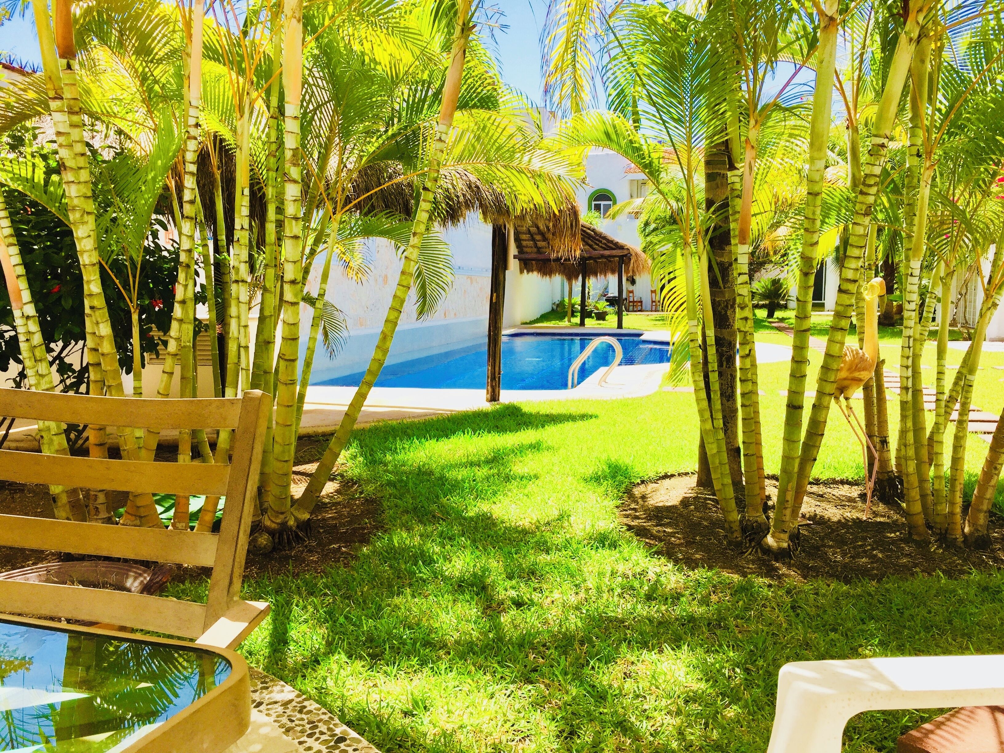 A pool area with a thatched roof structure, surrounded by palm trees and a grassy lawn.