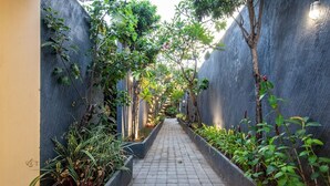 A narrow pathway flanked by blue walls and various plants, leading to a building entrance. - PB - 7BR - V5 & V1 7BR Private Pool Villa, Walk to Seminyak Beach (Seminyak)