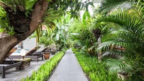 A pathway flanked by lush greenery and outdoor seating areas. - SMV- 2BedGRDN - V6 · 2BR Garden Villa Walk to shops and Beach Legian (Legian)
