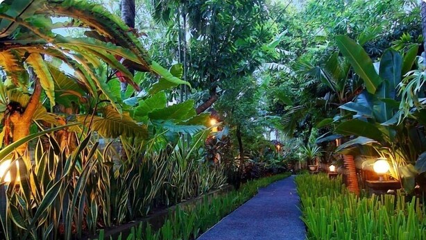 A pathway flanked by lush greenery and illuminated by soft lighting, leading through a dense tropical garden. - SMV - garden - 8-BR · 8BR Garden Villa Walk to Beach and Shops Legian (Legian)