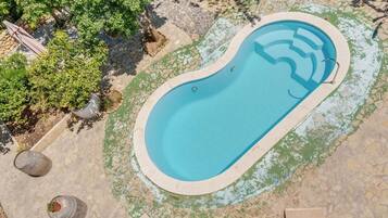 Una piscina con borde de piedra, rodeada de vegetación y un patio de piedra.