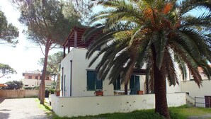 A modern building with a white exterior, a covered patio area, and a palm tree in the foreground.