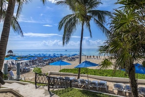 Relax on the beach with a clear ocean view, surrounded by palm trees and comfortable lounge chairs.