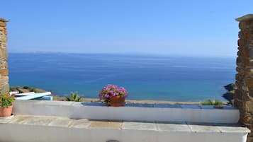 House, 1 Bedroom, Smoking, Terrace | Balcony