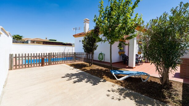 A sunny outdoor area with a pool, a wooden fence, a tree, and a lounge chair.