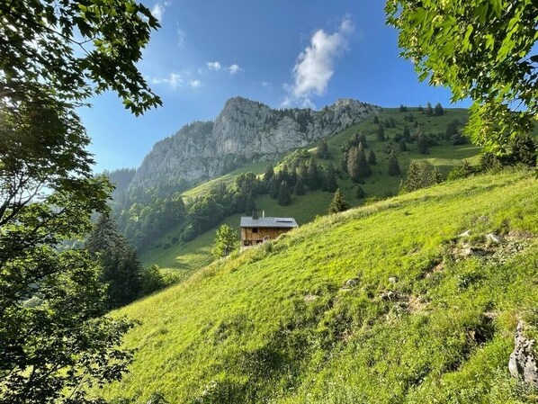 Jardines del alojamiento