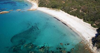 Mini villas F3 avec terrasse et grand jardin Ă 5 minutes des plages