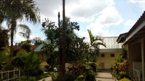 Un patio con un sendero, rodeado de plantas y árboles, que conduce a un edificio con techo de metal corrugado.