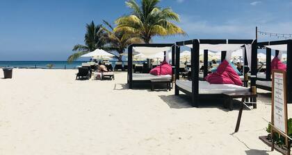 Room-condohotel 5th Avenue Std Double St