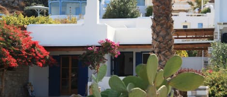 Edifici blanc amb una porta blava, envoltat de vegetació i una planta de cactus.