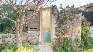 A stone wall, a wooden door, and a tree with blossoms. - Centrally Located, Mediterranean Holiday Apartment with Garden and Terrace; Pets Allowed (san teodoro)