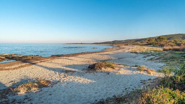 A beach with clear skies, sandy shore, and distant hills. - Centrally Located, Mediterranean Holiday Apartment with Garden and Terrace; Pets Allowed (san teodoro)