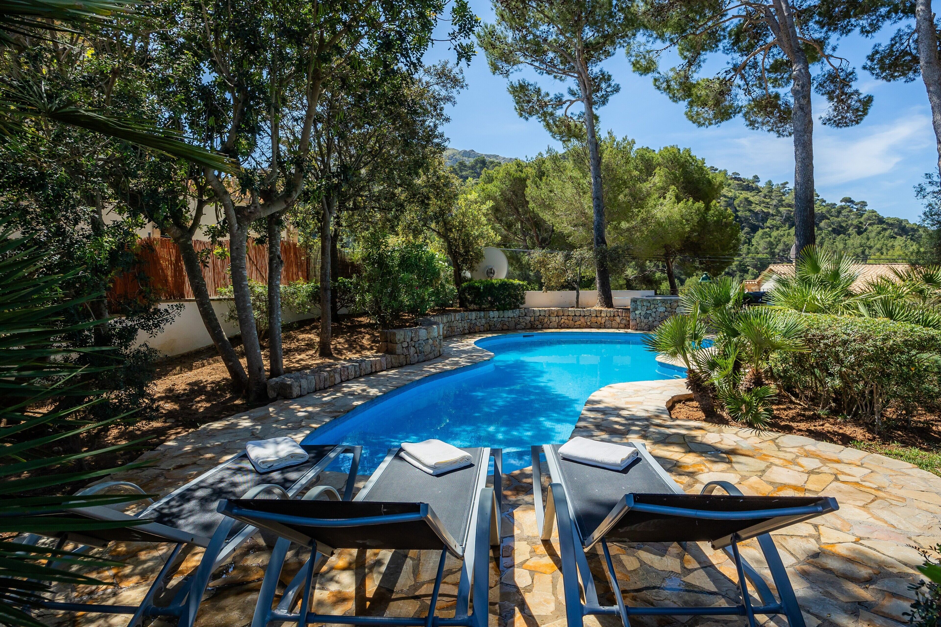 Piscina com espreguiçadeiras, cercada por árvores e um caminho de pedra.