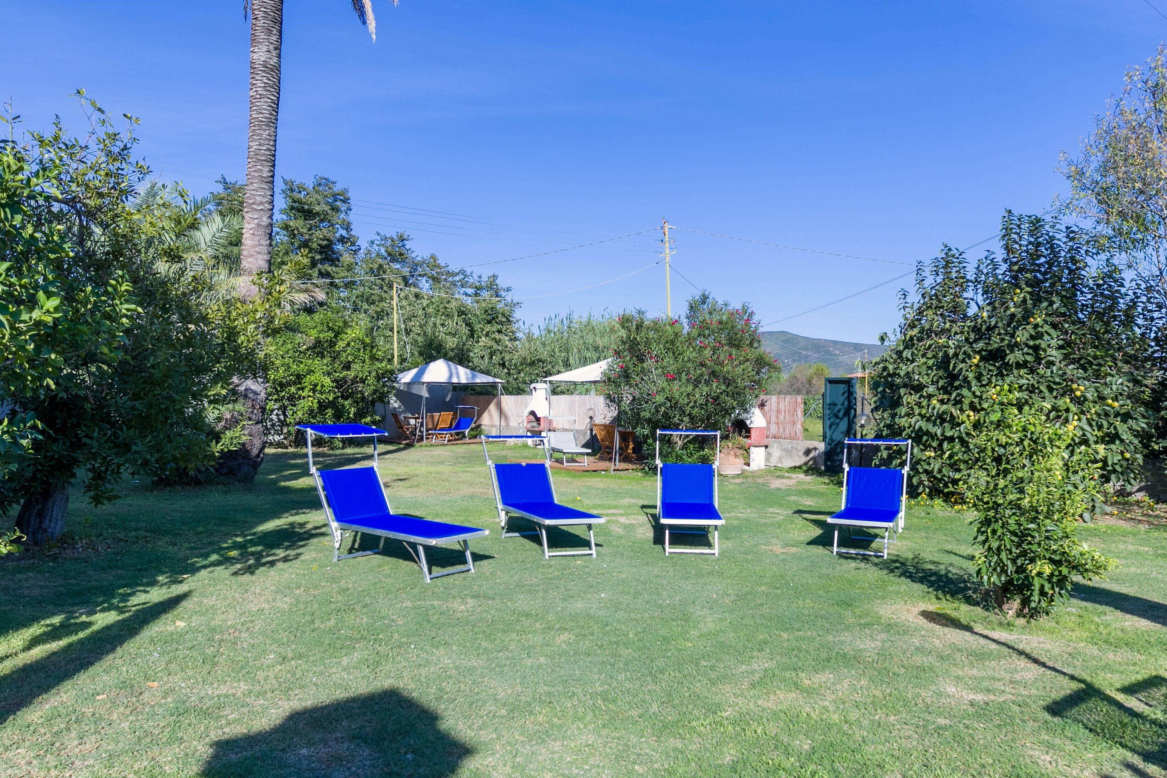 Un jardin avec quatre chaises de jardin bleues et un petit arbre.