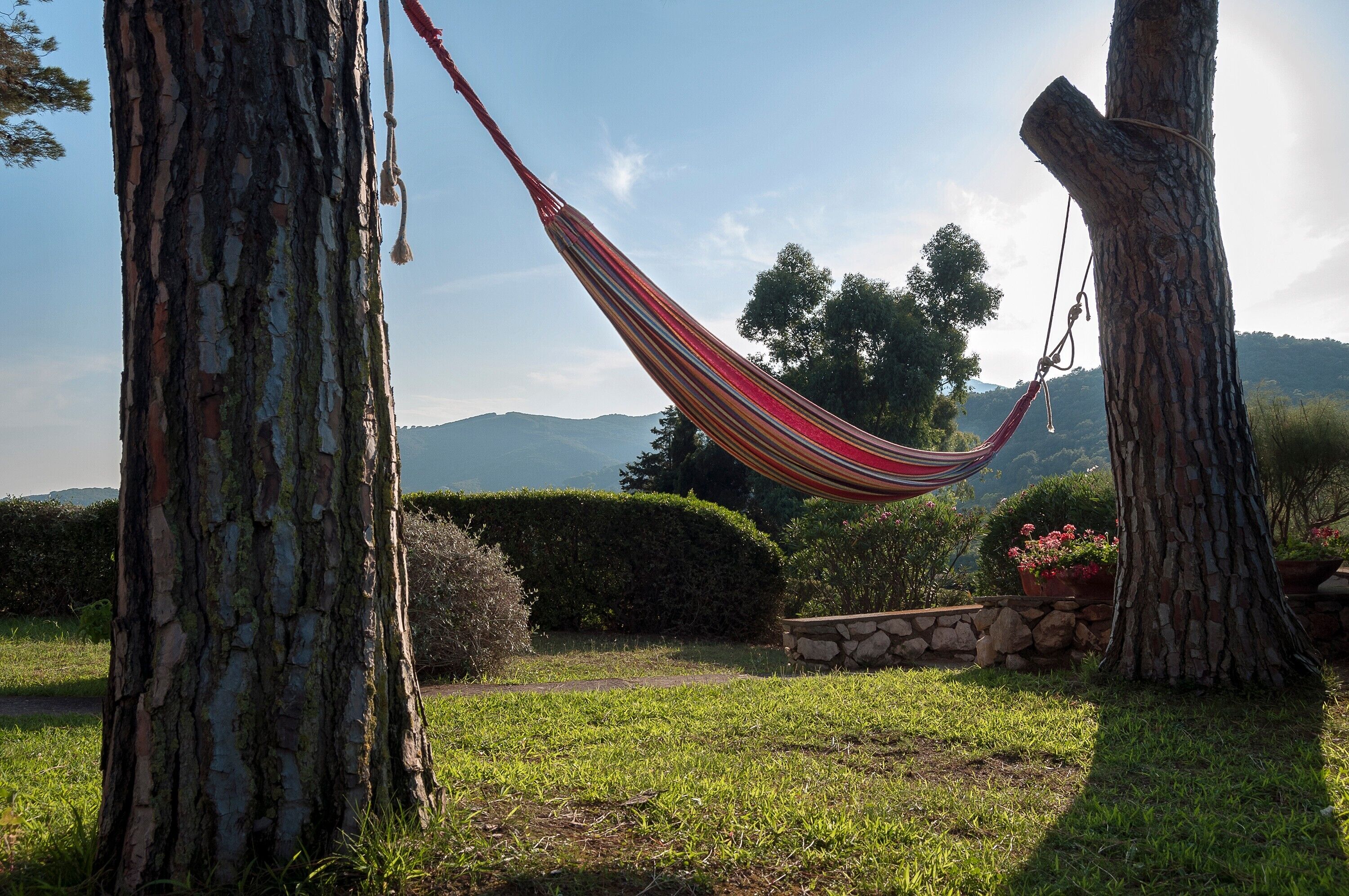 Parco della struttura