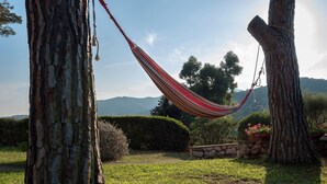A hammock between two trees in a grassy area with a stone wall and potted plants.
