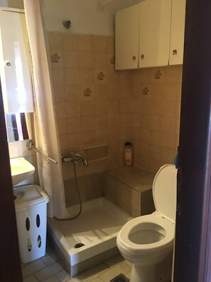 Une salle de bain avec des toilettes, une douche et un lavabo.