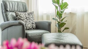 A grey leather armchair with a floral pillow, a matching ottoman, and a green plant in a room with vertical blinds. - Wonderful Apartment in the house Seeblick (Salem)