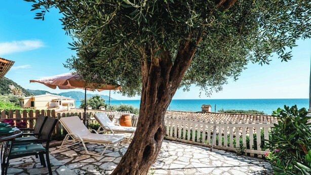 A stone patio with lounge chairs, a table, and a tree providing shade. - Corfu Glyfada Menigos Resort 24 (Corfu)